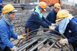 Thu hồi giấy phép lao động