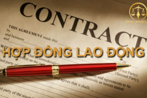 hợp đồng lao độn